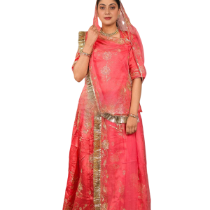 Gajri Pink Aari Sequins Work Poshak Set (Unstitched) | Pure Georgette Odhna | Jaipurio Ethnic Wear